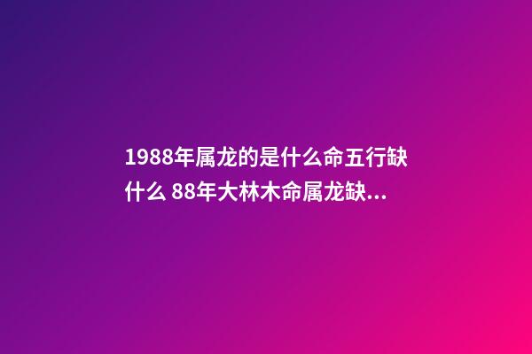 1988年属龙的是什么命五行缺什么 88年大林木命属龙缺什么-第1张-观点-玄机派